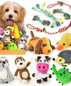 Pet Toys